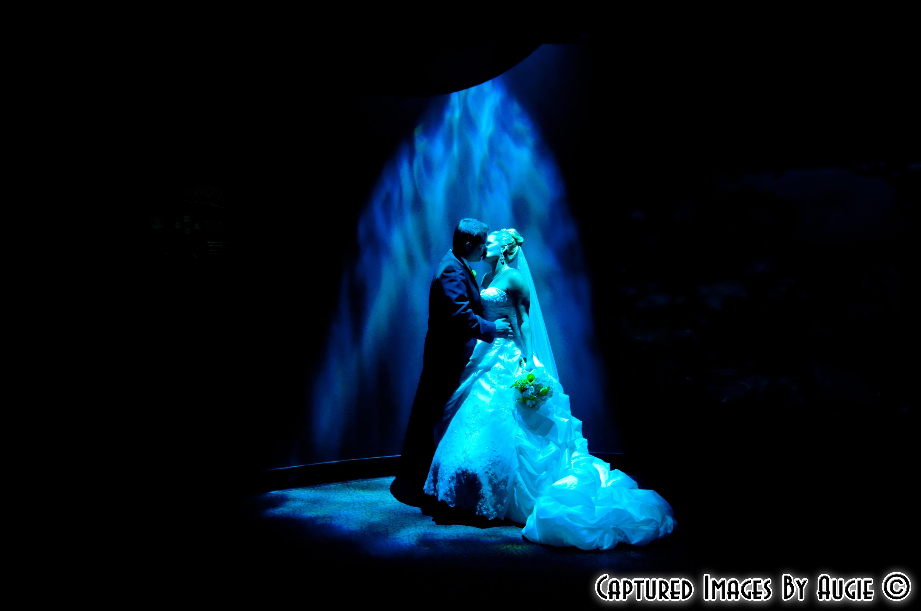 Tampa Wedding Photo - The FL Aquarium