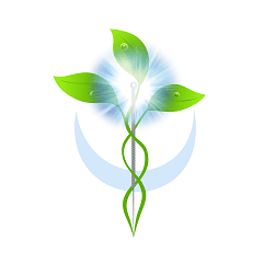 Malikov Acupuncture & Natural Medicine Logo