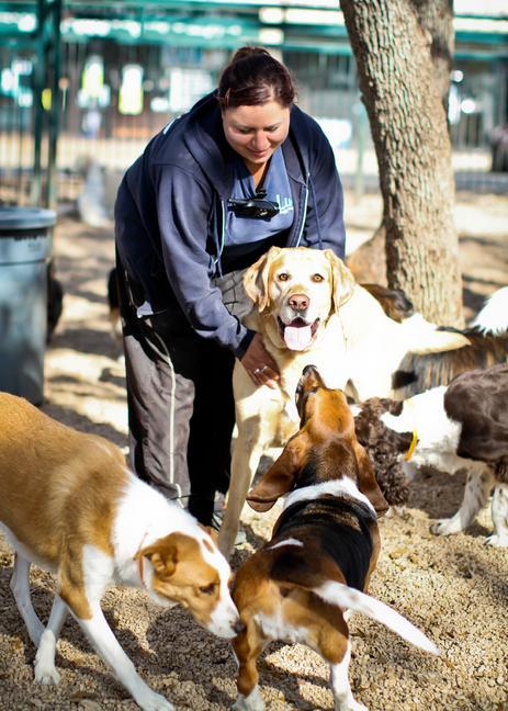 Lucy’s Doggy Daycare and Spa