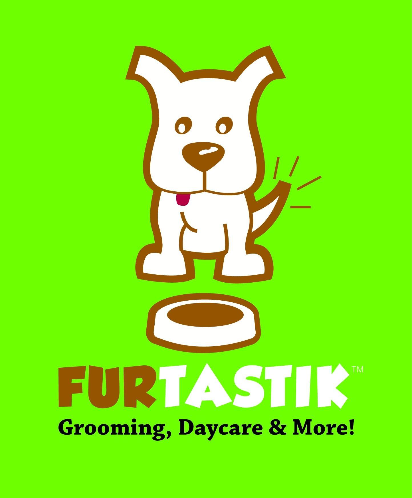 Grooming, Daycare, & More!