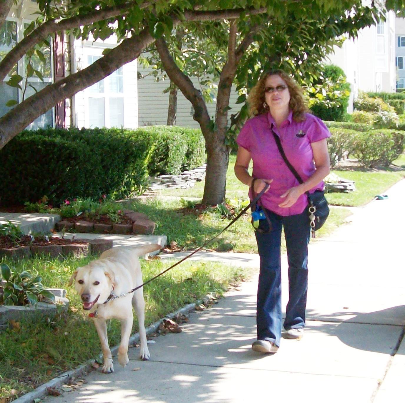 Mid-day Dog Walking with Tails on Trails, Crofton, Annapolis, MD