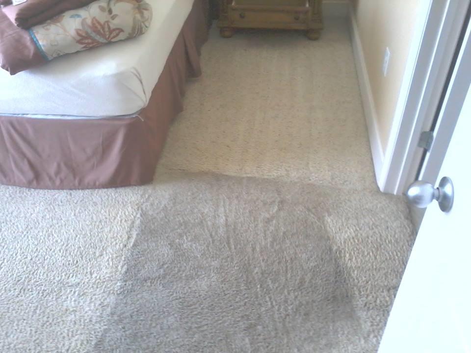 clean carpets