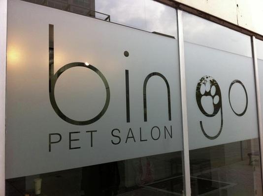 Bingo Pet Salon - Grooming, Pet Sitting, Pet Accessories