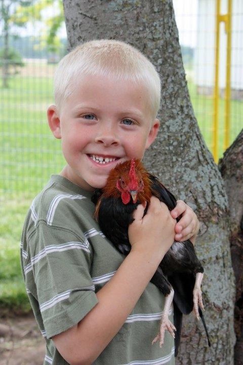 Mulberry Lane Farm