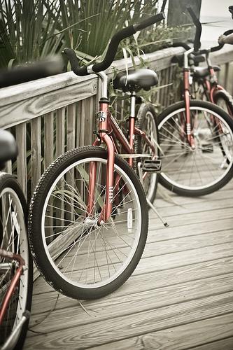 Hilton Head Bike Rental