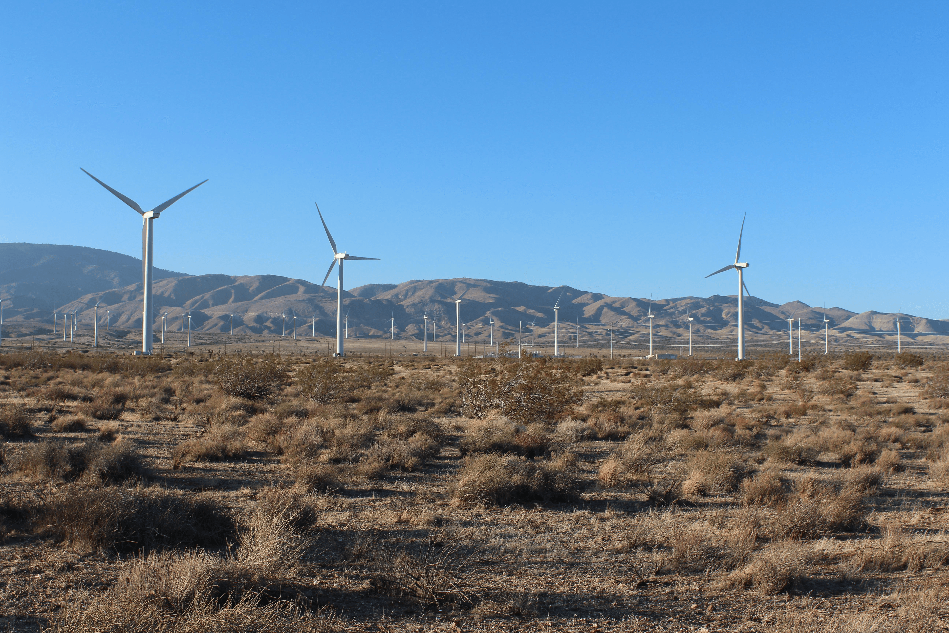 IBERDROLA RENEWABLES - MANZANA WIND, LLC