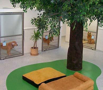 Indoor Dog Kennel