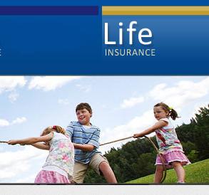 Life Insurance Perfromance Insurance Group, Odenton, MD