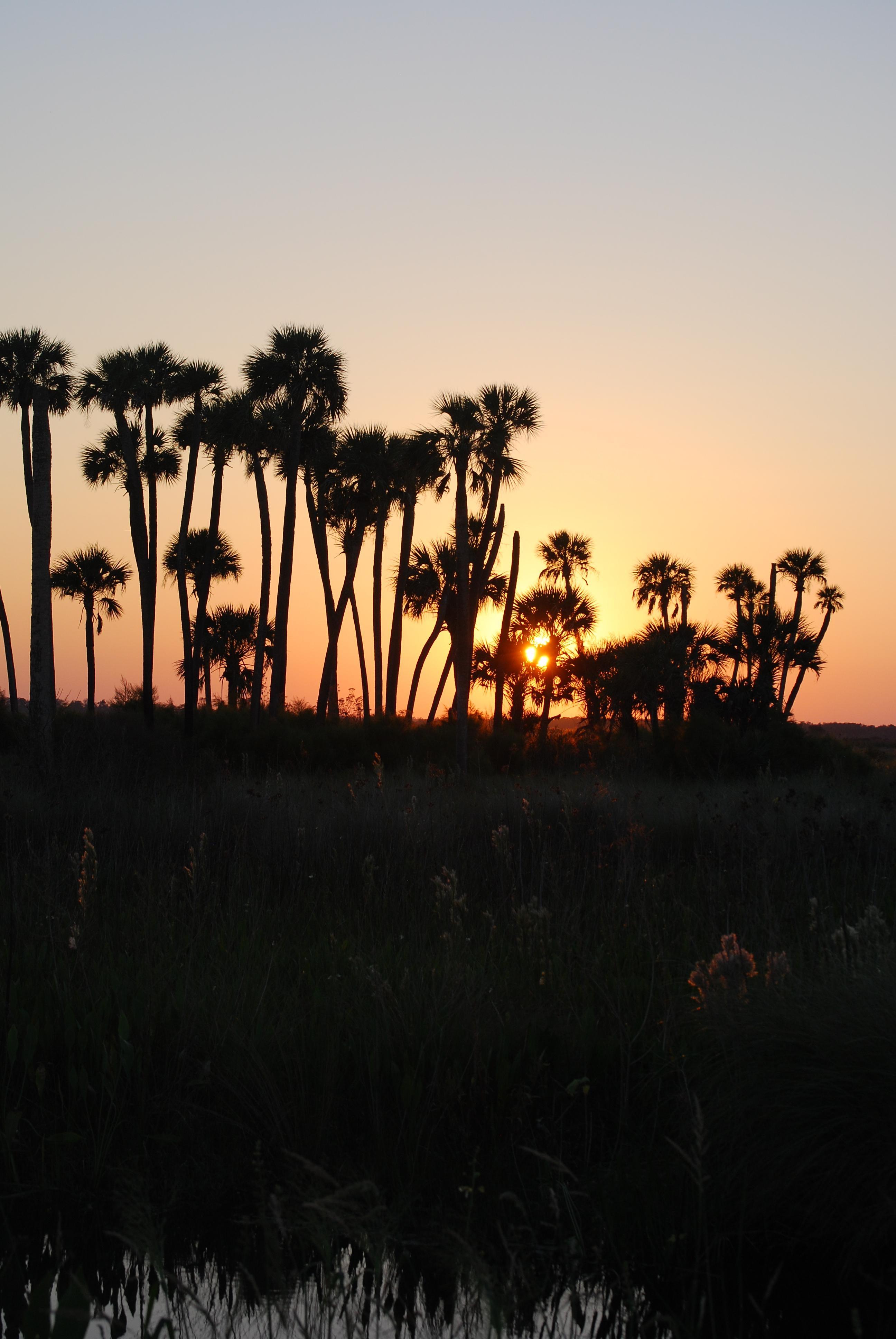 Sunset on the Refuge