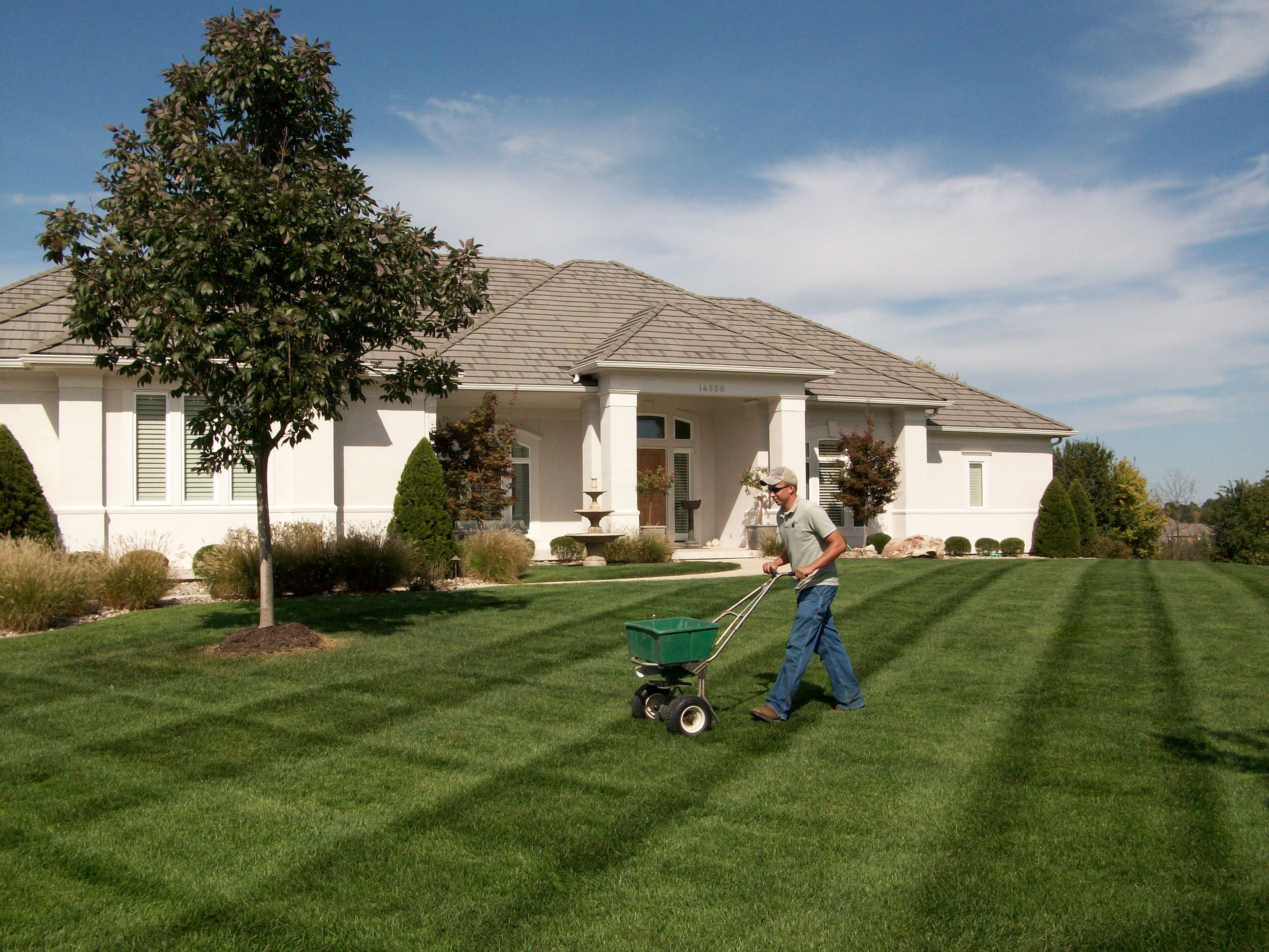 Enhancing lawns in Northern Illinois