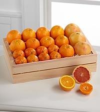 Citrus Fruit Basket