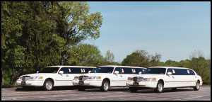 We feature the newest 6,8,10,12 & 14 passenger stretch limousine