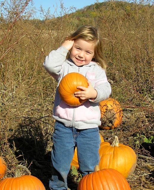 14 acres of pumpkins to choose from