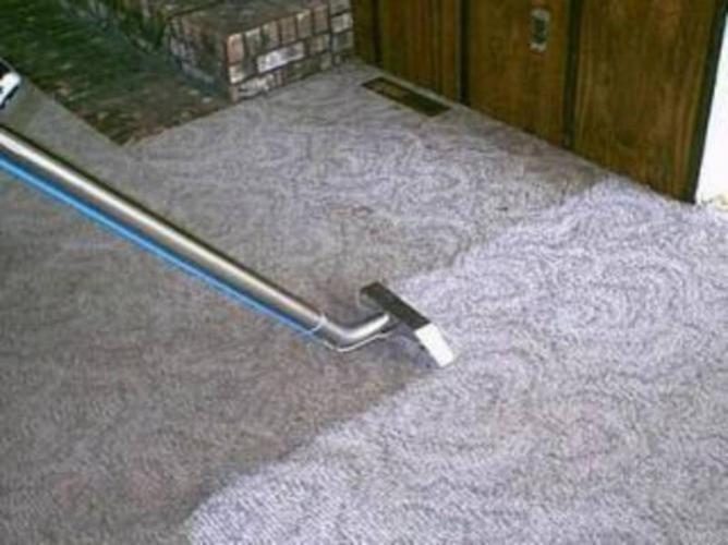 Organic Dry Carpet Cleaning