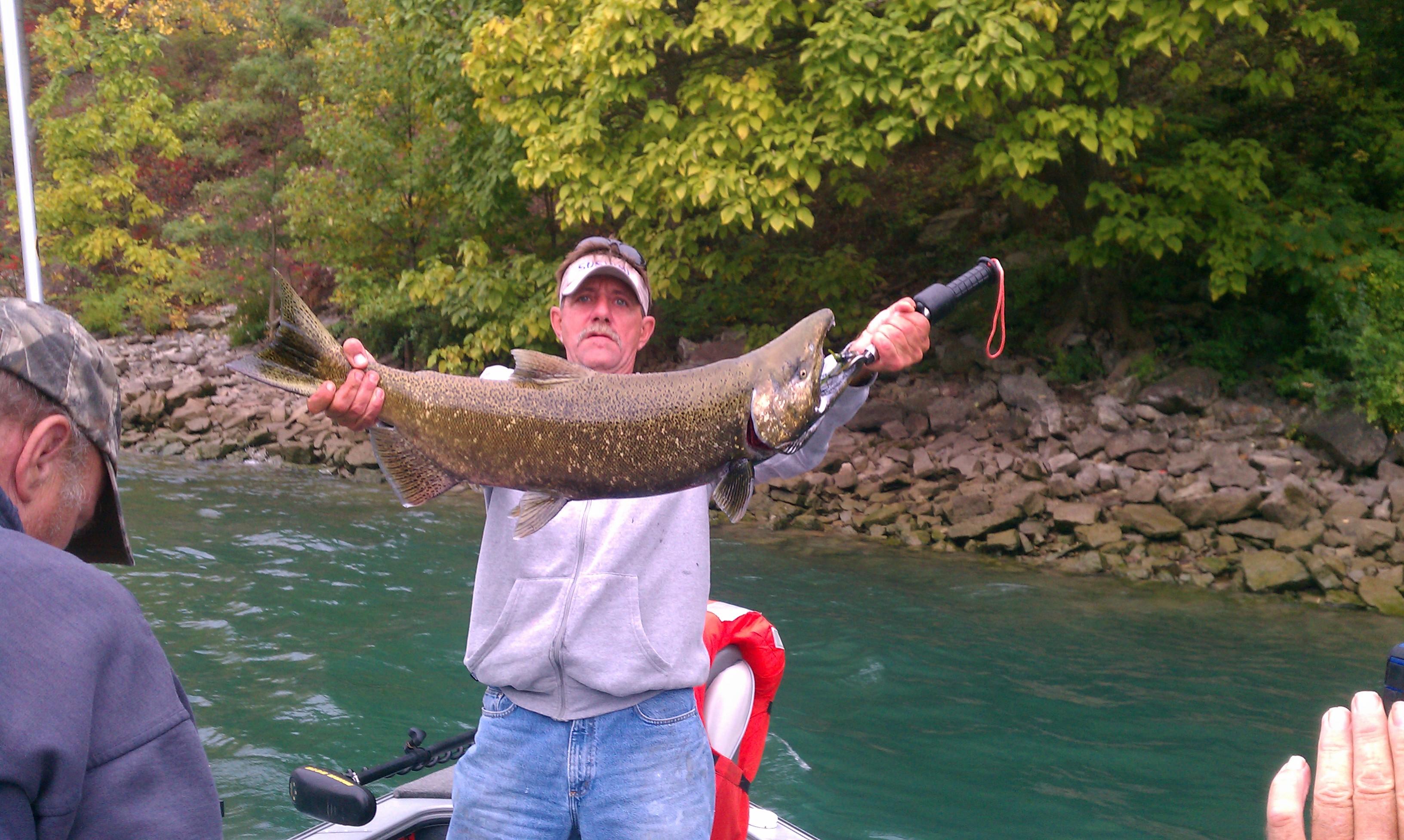 Niagara River Salmon