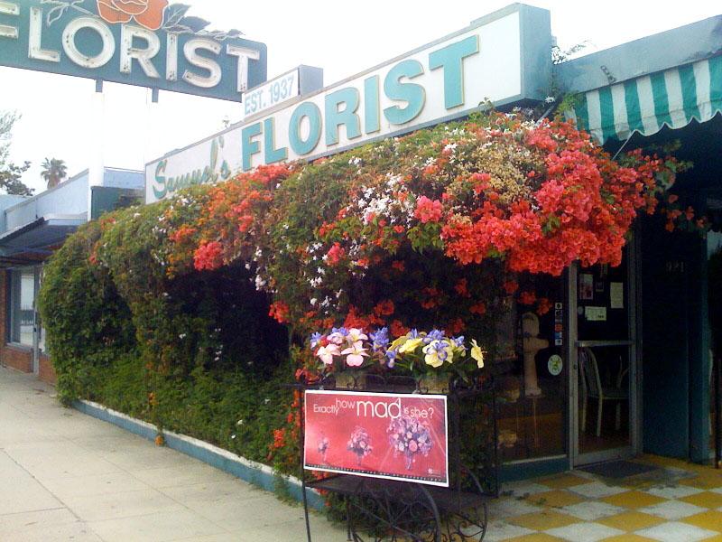 Samuels Florist