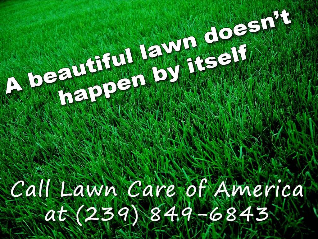 Lawn Care of America