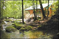 The Luxury Waterfall Cabin at "Trout House Falls"