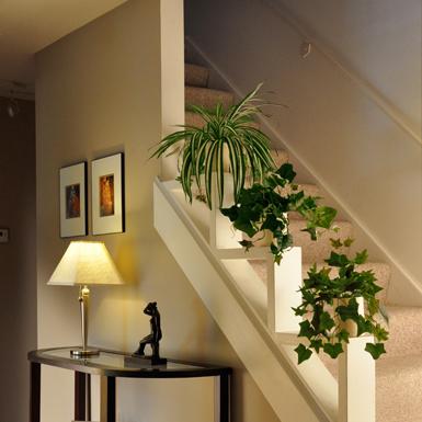 Foyer design including custom-made "step railing". Private residence, Brighton, New York