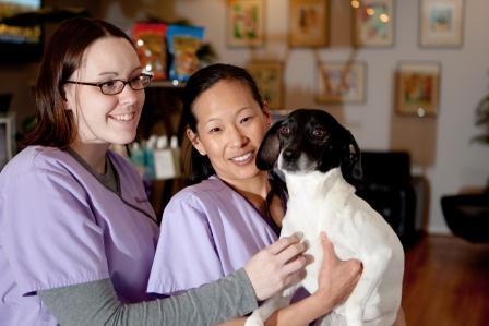 Veterinary Technicians on Staff