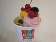 Yogurt Zone