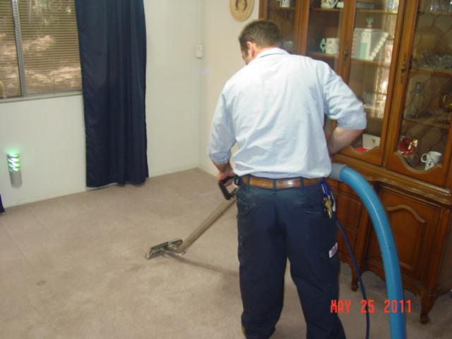 Carper Cleaning1