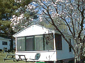 Cottage 4 under the magnolia tree