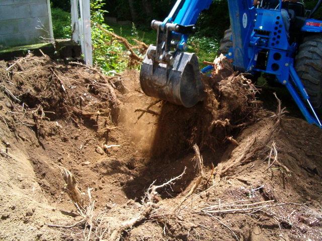 Stump Removal