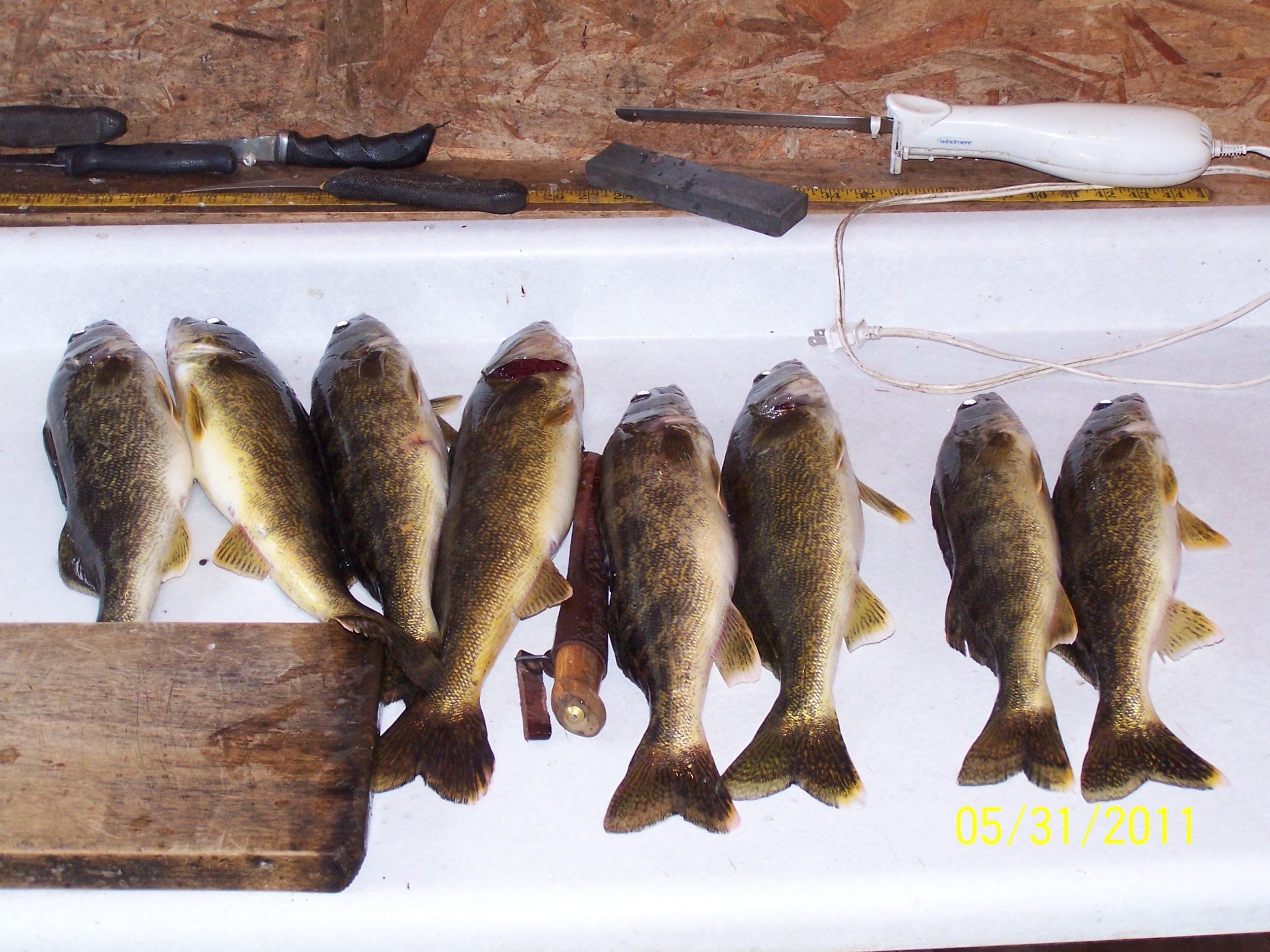 Big Jessie Lake is well-known for its walleye!