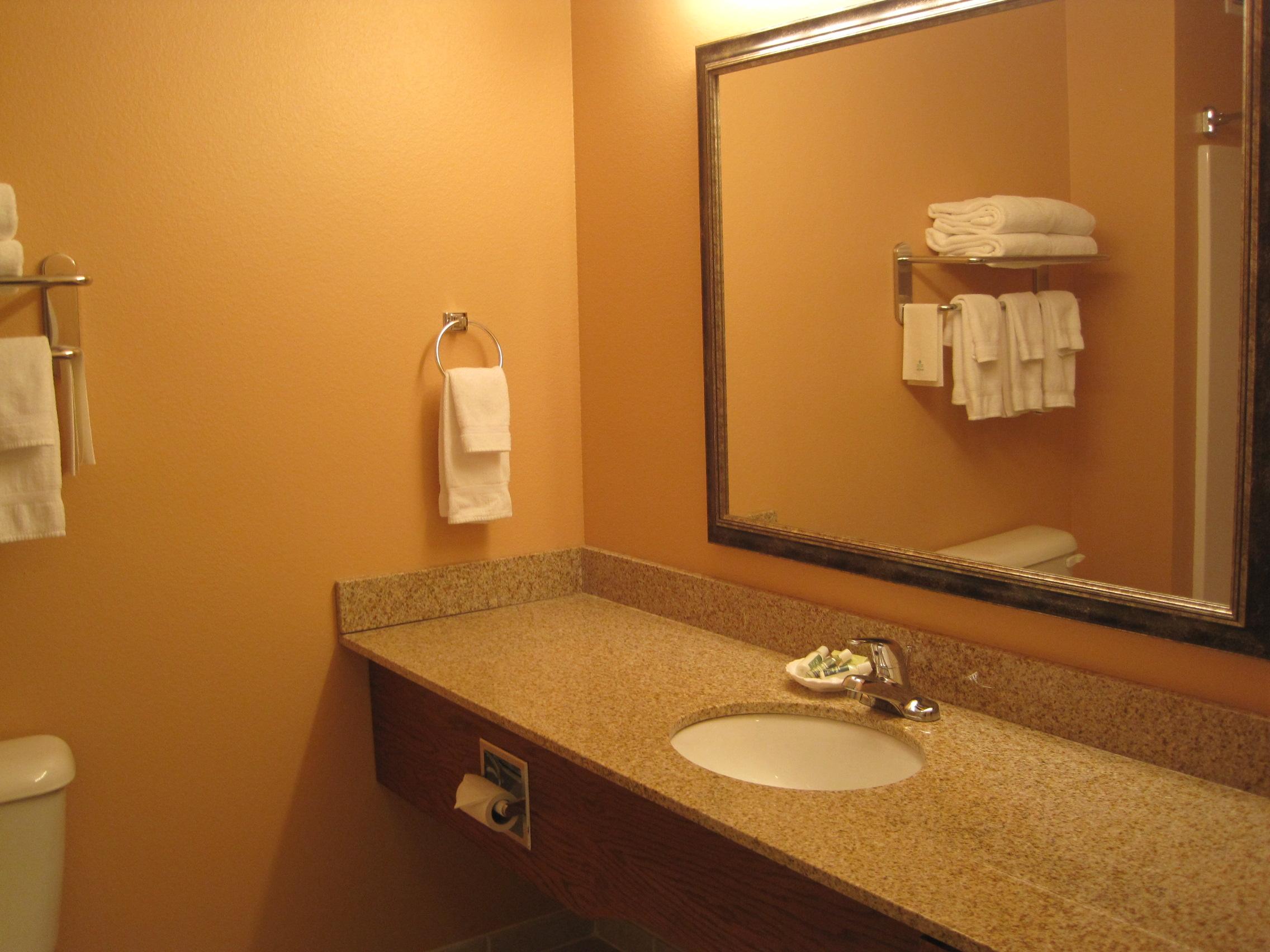 Bathroom with Granite Counters