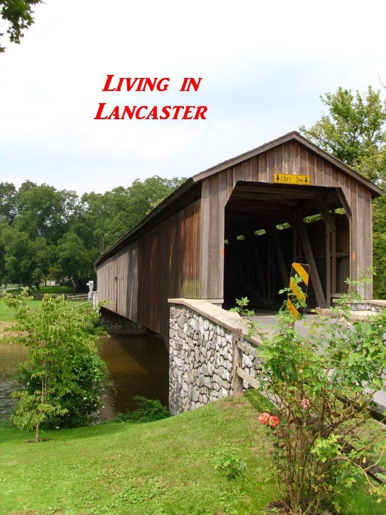 Living in Lancaster Group