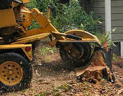 Premiere Tree Services of Edmond