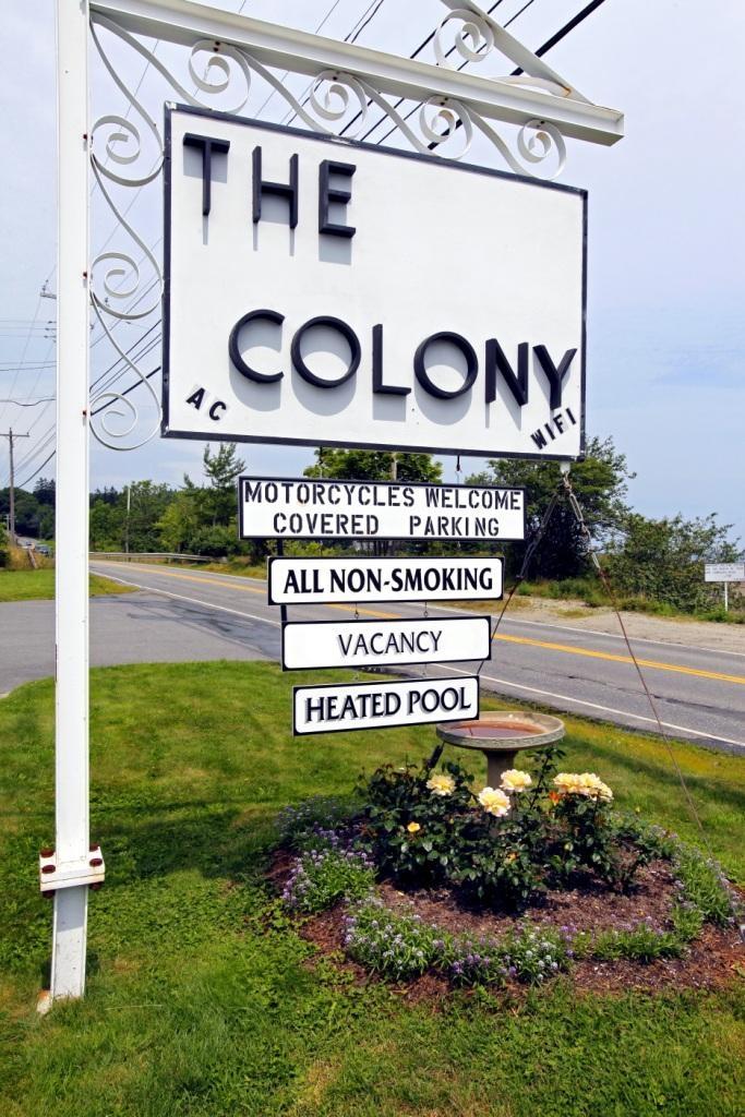 The Colony