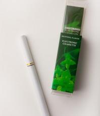 Disposable E Cigarette