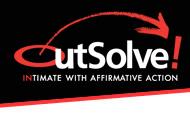 Affirmative Action Plan Services