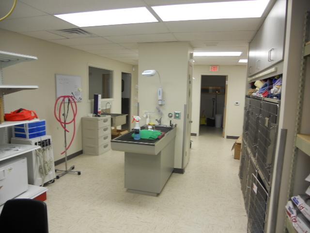 Treatment Room