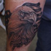 eagle