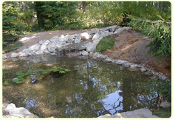 Water Features and Ponds