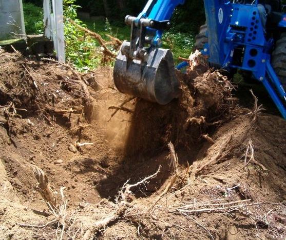 Stump Removal