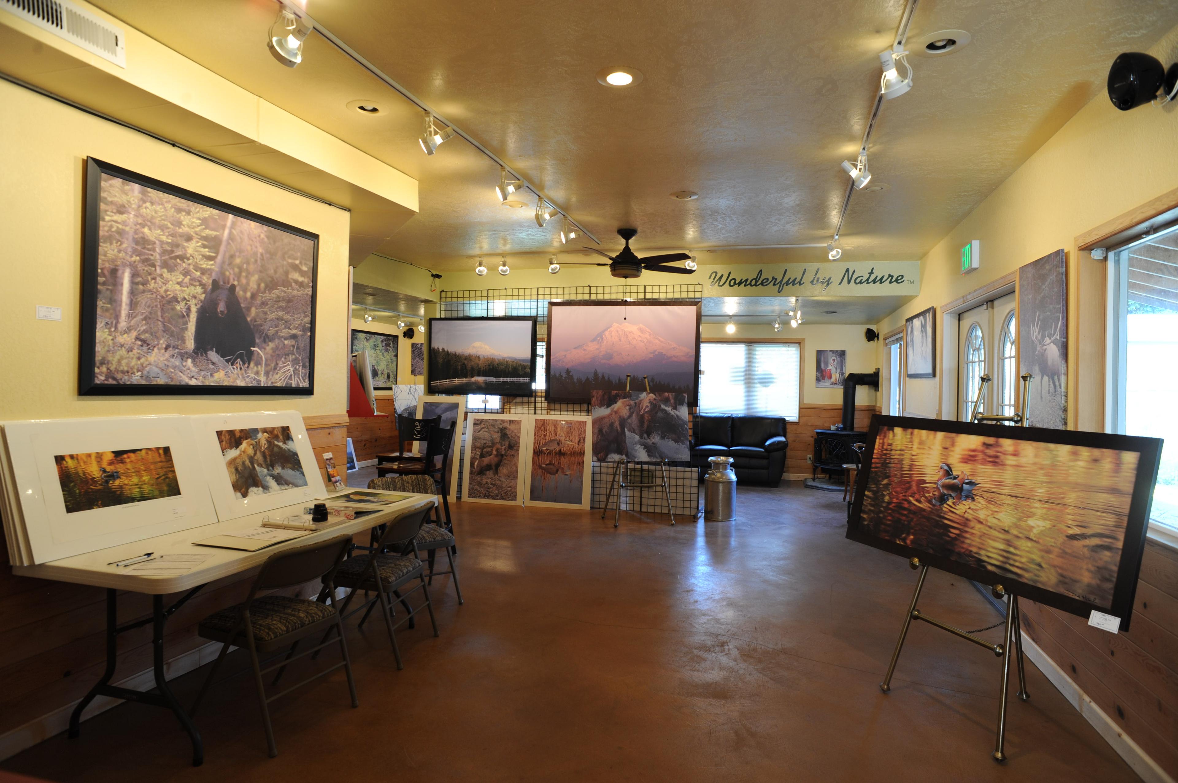 Wildlfie and Nature Art Gallery