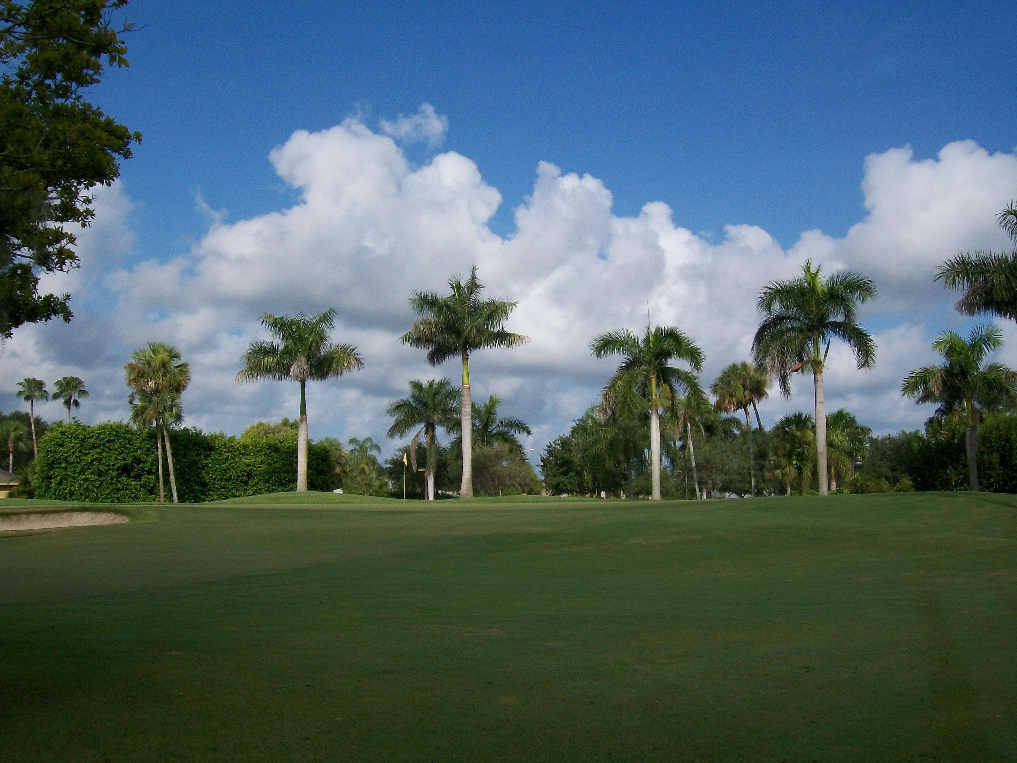 9th Hole Green