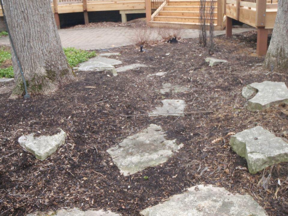 Landscape design before pic 55