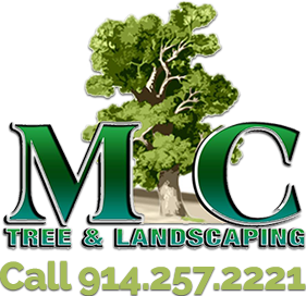 M & C Tree Service & Landscaping