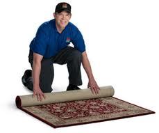 Coit Area Rug Cleaning of Rochester