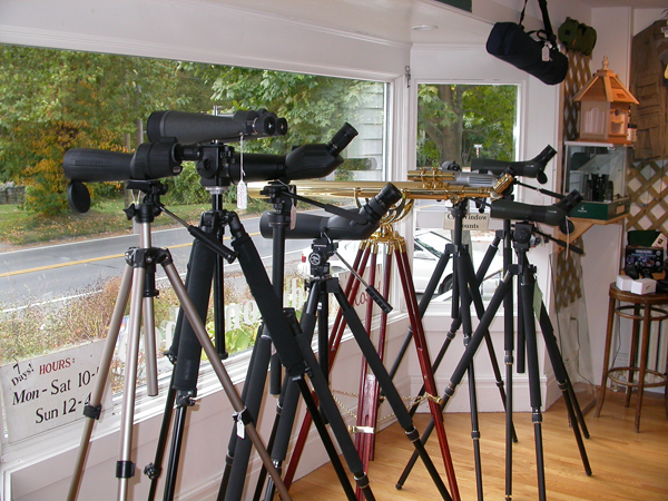 Telescopes lined up inside the shop.