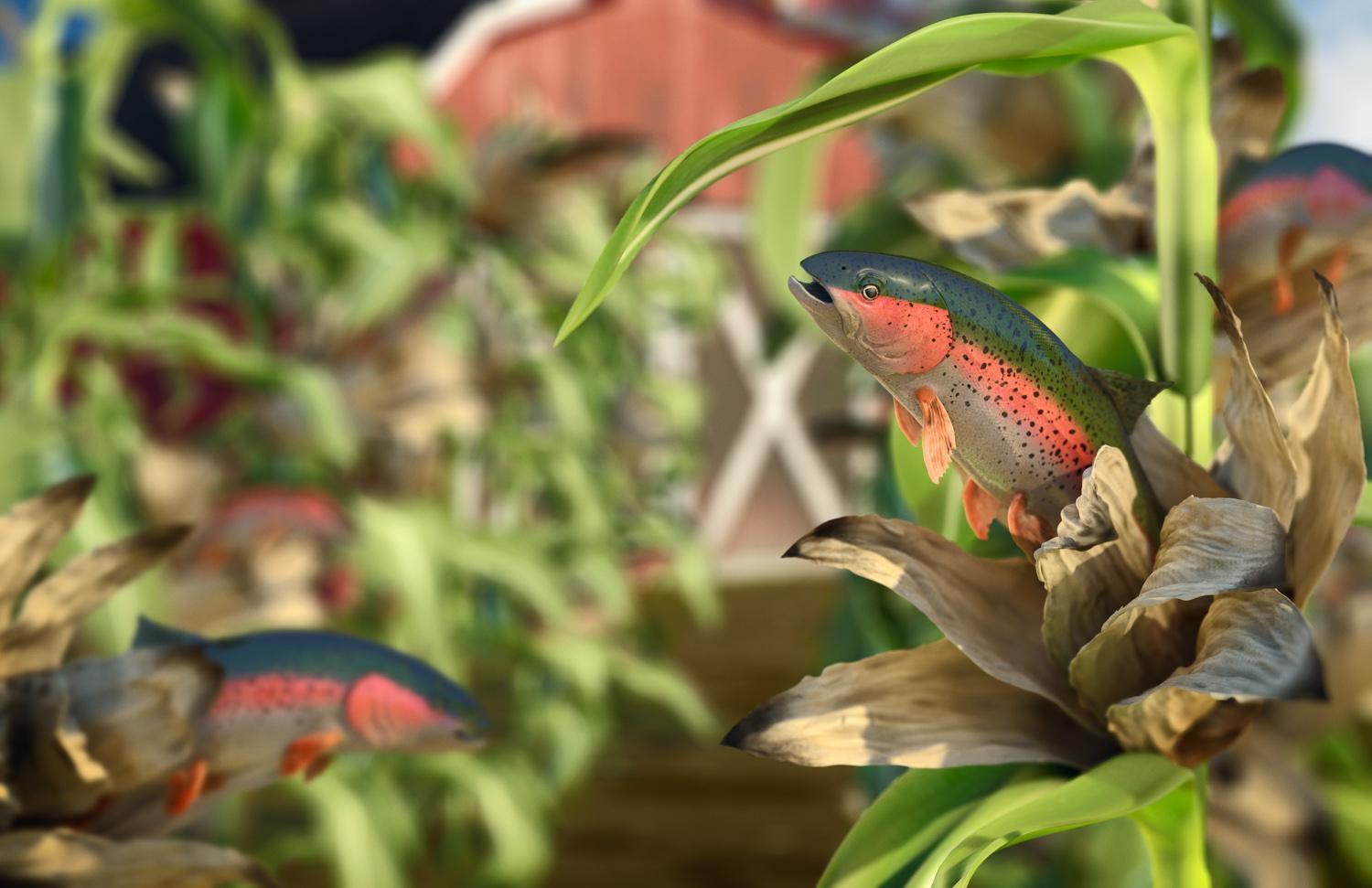 Fish Farm CGI