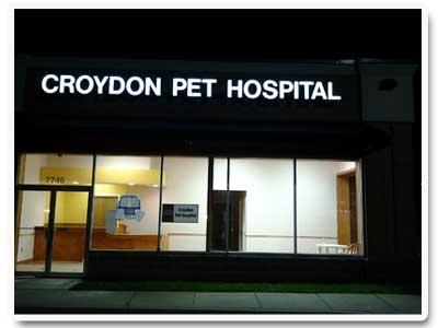 Croydon Pet Hospital at night