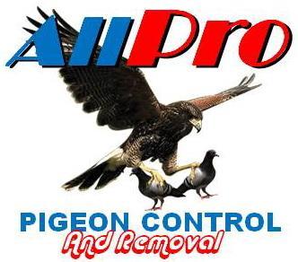 All Pro Bird/Pigeon Control