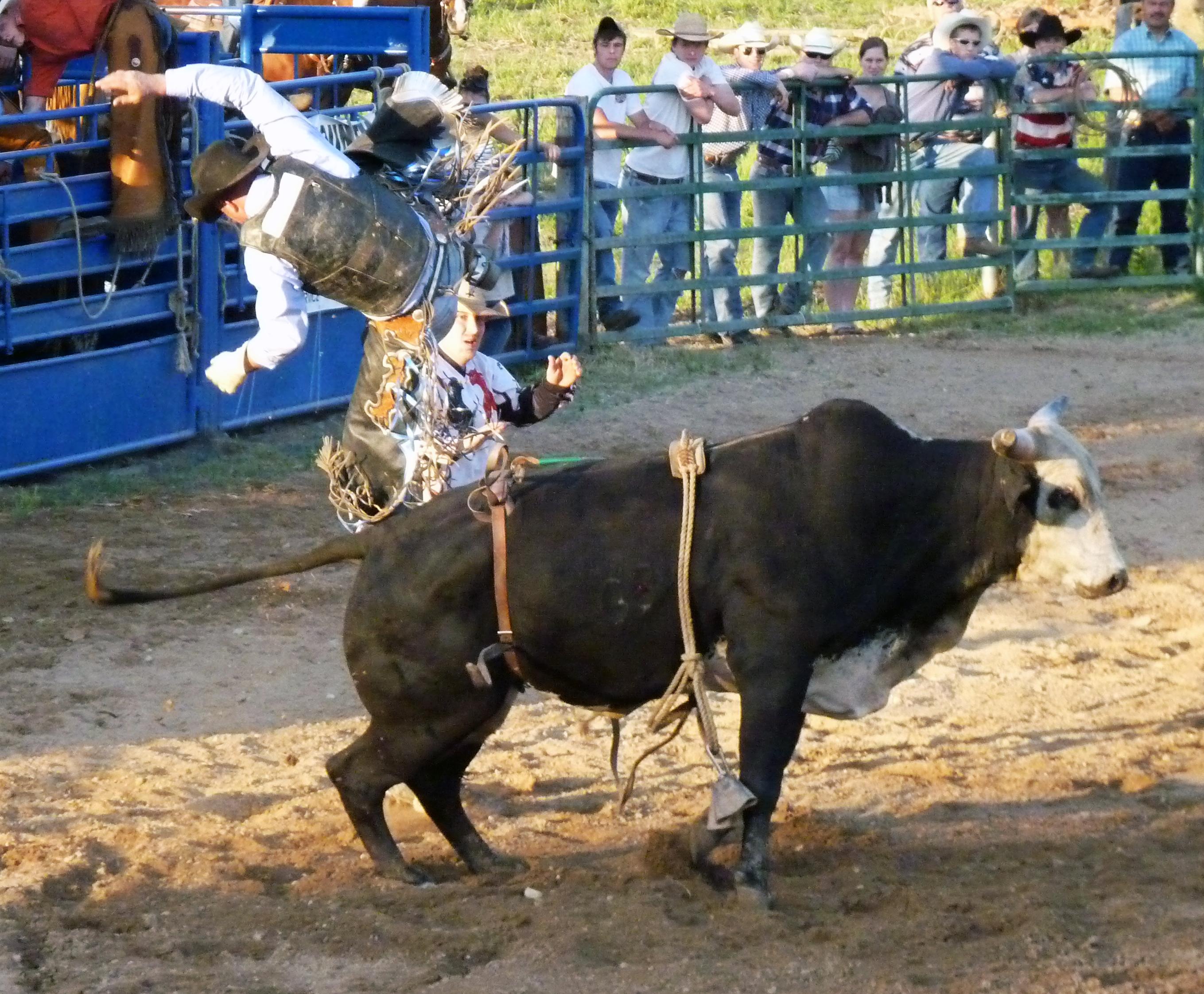 Saturday Night Rodeo