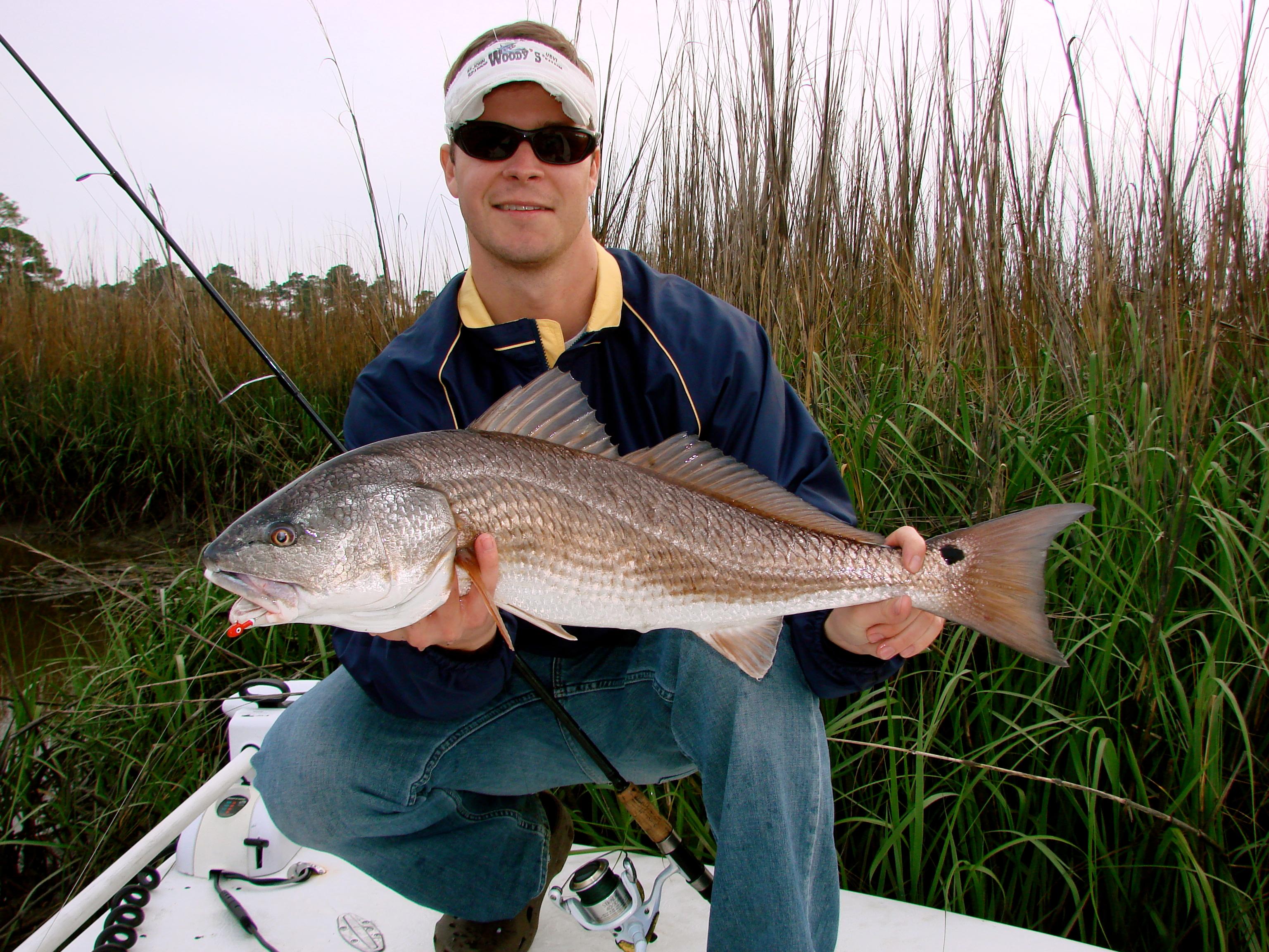 Redfish Pawleys Island